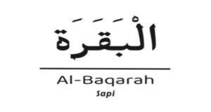 surah al-baqrah, jisay gaaye" bhi kaha jata hai islam ki muqaddas kitaab quran ka dosra baab hai .