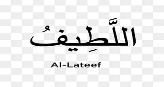 You are currently viewing “الطیف ” االلہ کے 99 مبار ک ناموں میں  سے ایک نام ہے جس کامطلب نہایت مہربان ہے