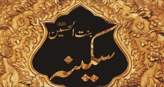 bibi sakina Bint Hussain islami tareekh mein aik aham maqam rakhti hai