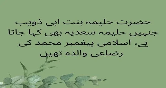 You are currently viewing حضرت حلیمہ بنت ابی ذویب جنہیں حلیمہ سعدیہ بھی کہا جاتا ہے، اسلامی پیغمبر محمد کی رضاعی والدہ تھیں