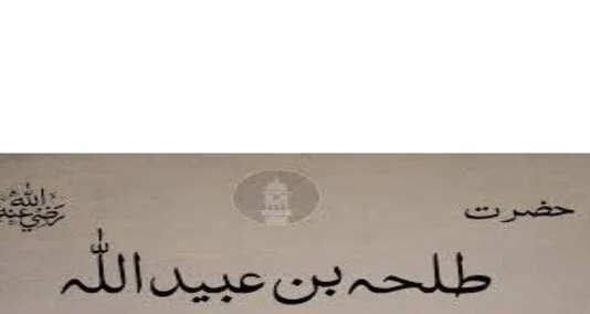 You are currently viewing حضرت طلحہ بن عبیداللہ رضی اللہ عنہ رسول اللہ صلی اللہ علیہ وسلم کے ممتاز ترین صحابہ میں سے تھے