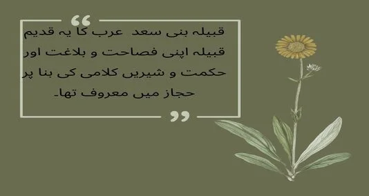 You are currently viewing قبیلہ بنی سعد  عرب کا یہ قدیم قبیلہ اپنی فصاحت و بلاغت اور حکمت و شیریں کلامی کی بنا پر حجاز میں معروف تھا۔