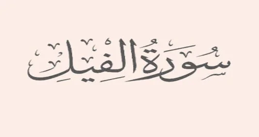 You are currently viewing سورۃ الفیل (عربی: الفيل، “ہاتھی”) قرآن کا 105 واں باب (سورہ) ہے۔