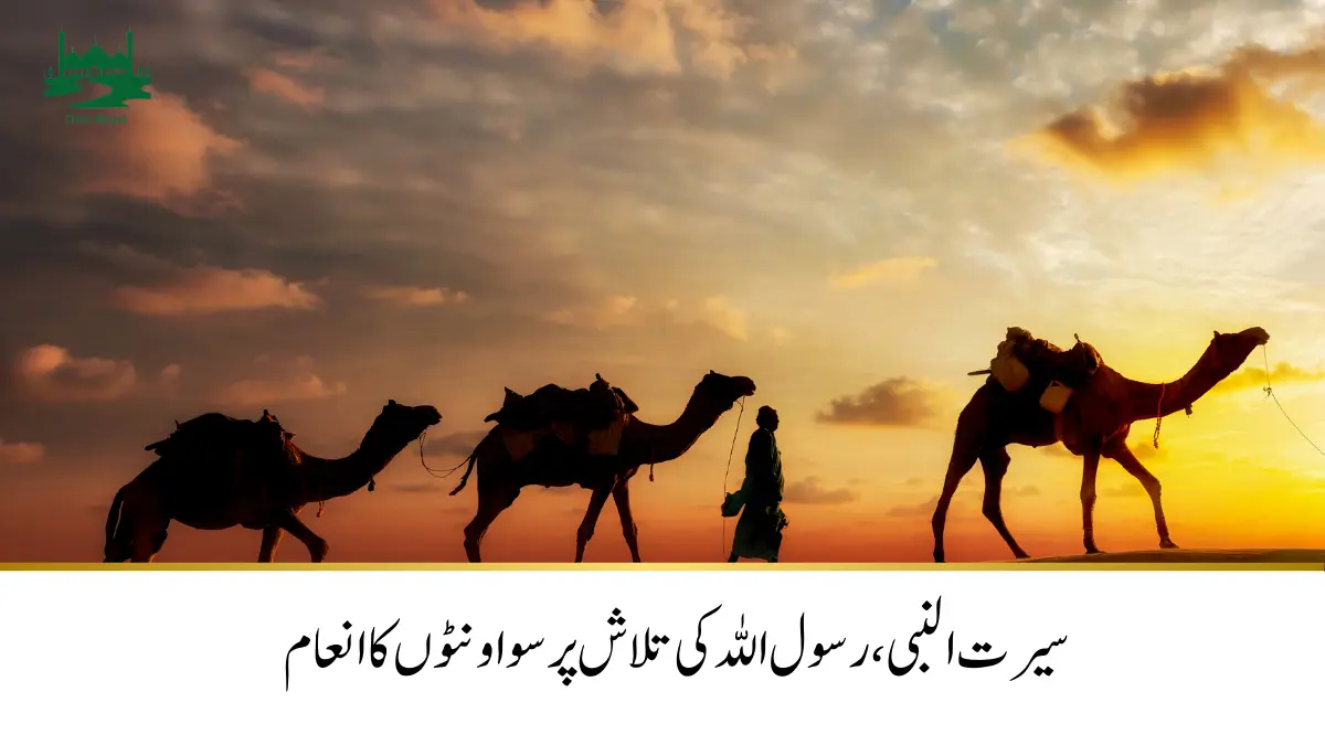 Read more about the article سیرت النبی،سو اونٹنیوں کا انعام